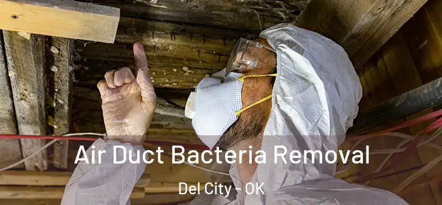 Air Duct Bacteria Removal Del City - OK