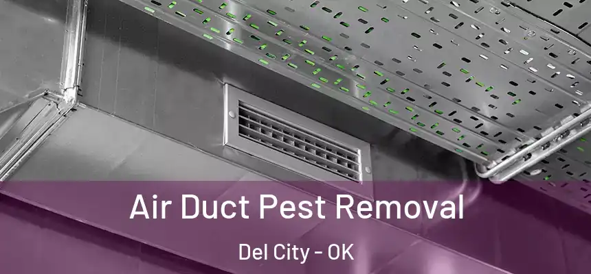 Air Duct Pest Removal Del City - OK