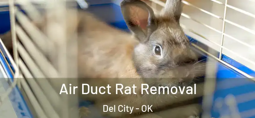 Air Duct Rat Removal Del City - OK