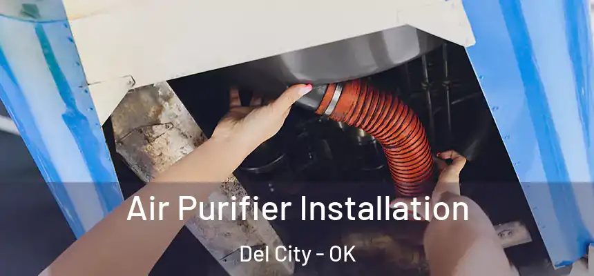  Air Purifier Installation Del City - OK