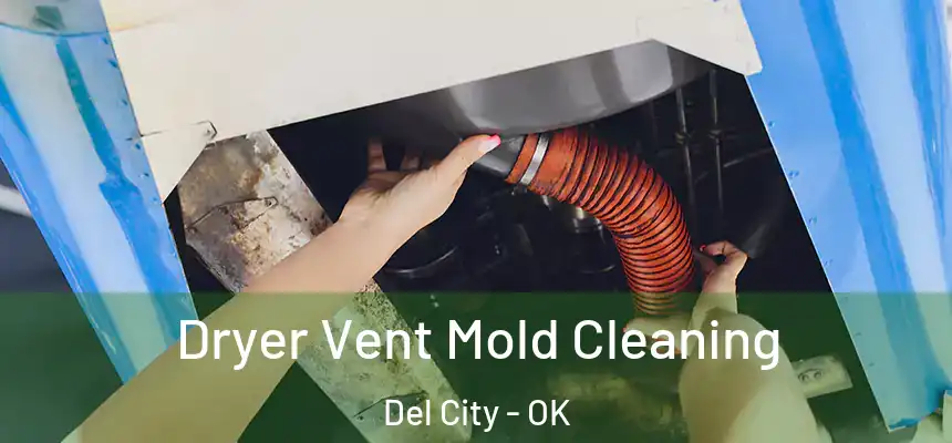  Dryer Vent Mold Cleaning Del City - OK