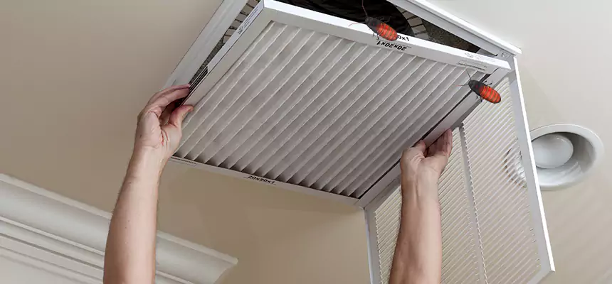 Our Insect Removal from Air Ducts Services in Del City, OK