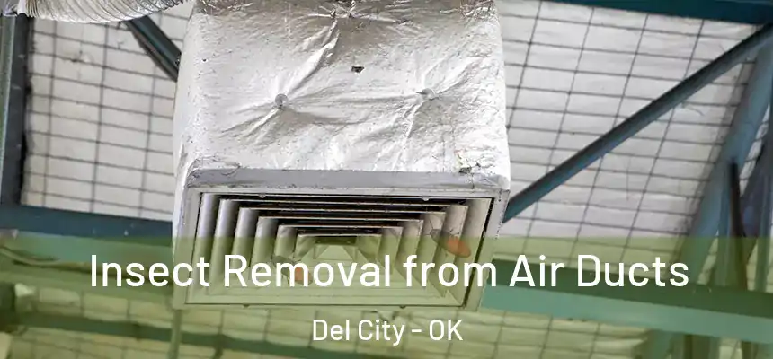 Insect Removal from Air Ducts Del City - OK