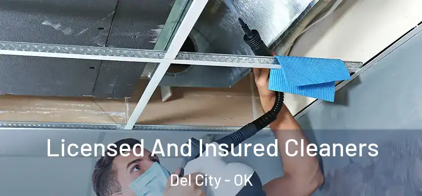 Licensed And Insured Cleaners Del City - OK