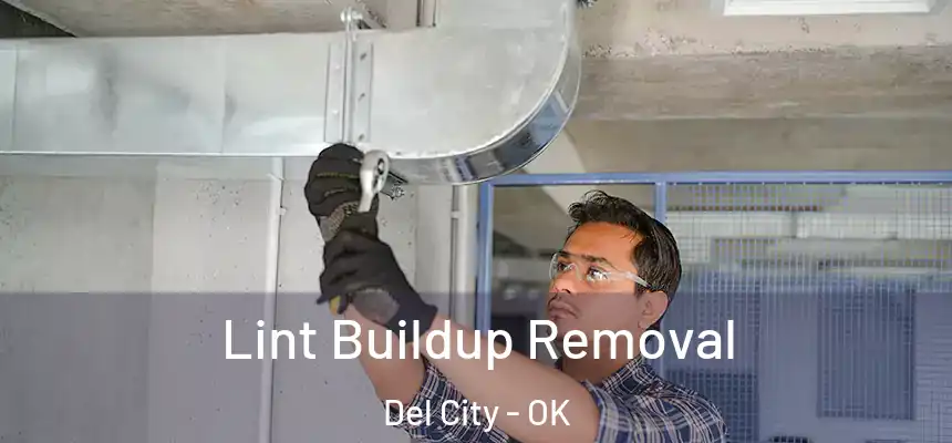  Lint Buildup Removal Del City - OK