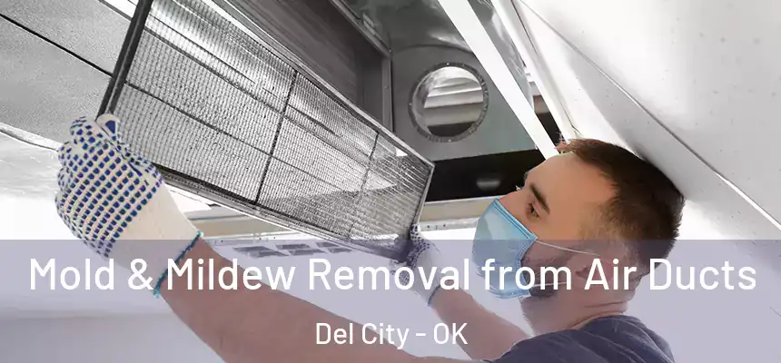 Mold & Mildew Removal from Air Ducts Del City - OK