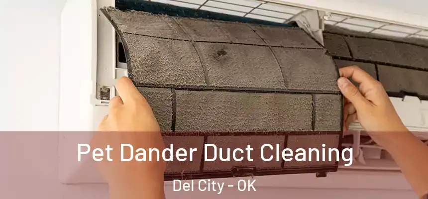  Pet Dander Duct Cleaning Del City - OK