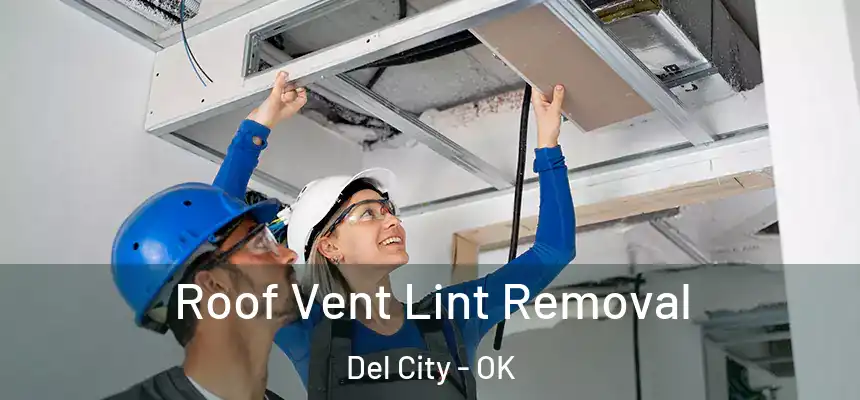  Roof Vent Lint Removal Del City - OK