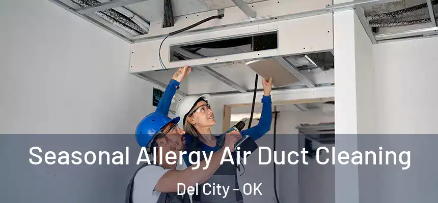  Seasonal Allergy Air Duct Cleaning Del City - OK
