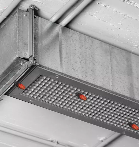 Affordable Insect Removal from Air Ducts in Del City, OK