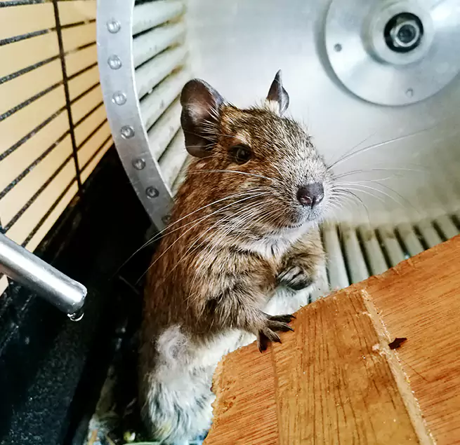 Why Homeowners & Businesses Trust Us Del City, OK?